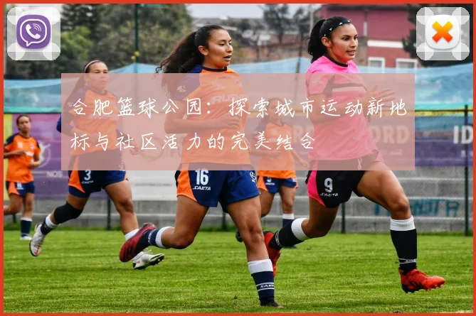 合肥篮球公园：探索城市运动新地标与社区活力的完美结合