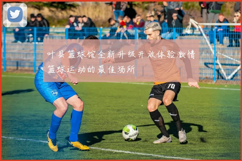 叶县篮球馆全新升级开放体验激情篮球运动的最佳场所