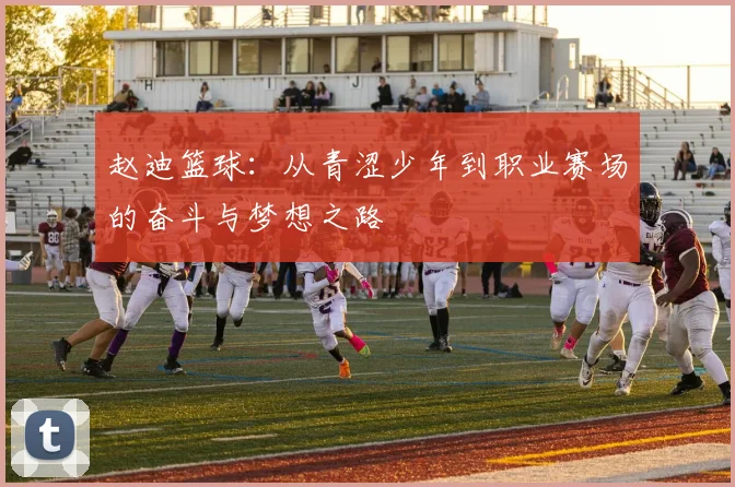 赵迪篮球：从青涩少年到职业赛场的奋斗与梦想之路