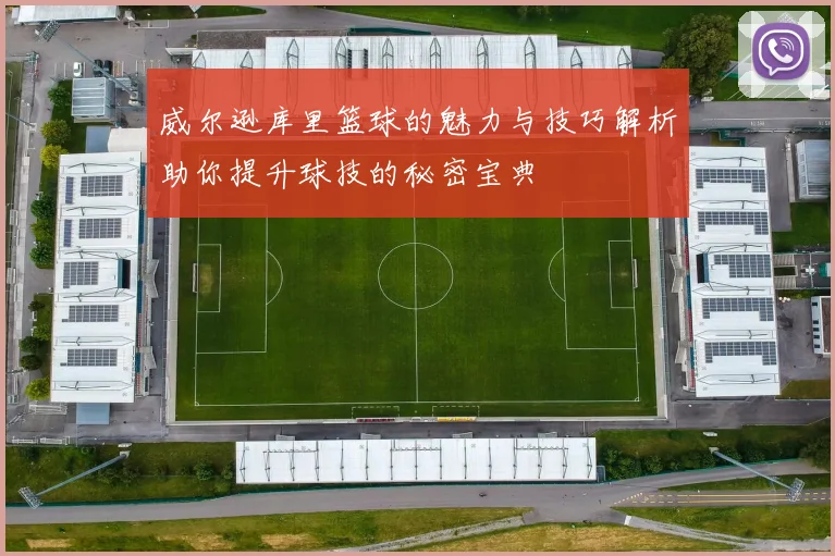 威尔逊库里篮球的魅力与技巧解析助你提升球技的秘密宝典