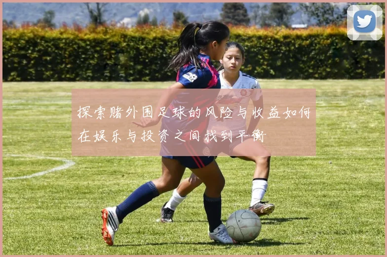 探索赌外围足球的风险与收益如何在娱乐与投资之间找到平衡